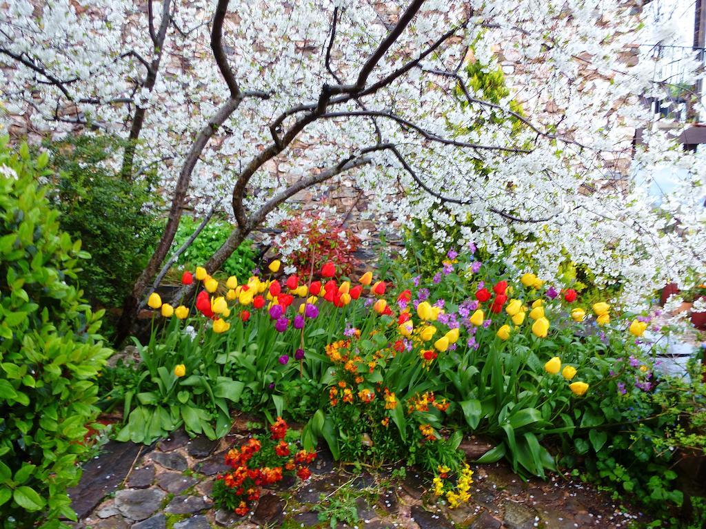 Jardines Del Robledo-Albar Guest House San Miguel del Robledo Luaran gambar