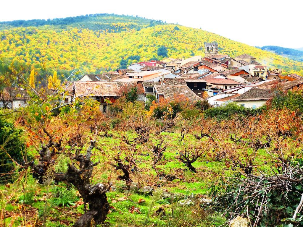 Jardines Del Robledo-Albar Guest House San Miguel del Robledo Luaran gambar